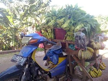 Salut Sama Kisahnya 11 Tahun Pria Ini Jualan Sayur Pakai Motor Dari Motor Bebek Sekarang Lihat Pakai Motor Apa Gridoto Com