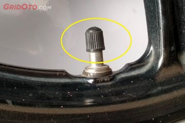 Banyak Yang Belum Tahu, Ini Nama lain Tutup Pentil, Anda Engga ...