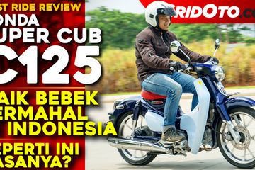 Video Bebek Termahal di Indonesia, Ternyata Enggak Semuanya ...