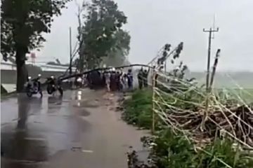 Detik Detik Angin Puting Beliung Mengamuk Di Bandung Jalan Tertutup Semua Halaman Gridoto Com