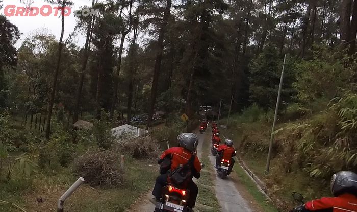 Honda ADV150 melibas jalan menurun di dalam hutan bawah kaki Gunung Lawu Karanganyar.