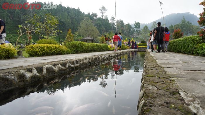 Saluran Air yang Bersih Sampai Dijadikan Kolam Ikan di Telaga Madirda, Karanganyar, Jawa Tengah