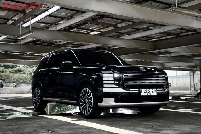 Hyundai Palisade Hybrid Callgraphy