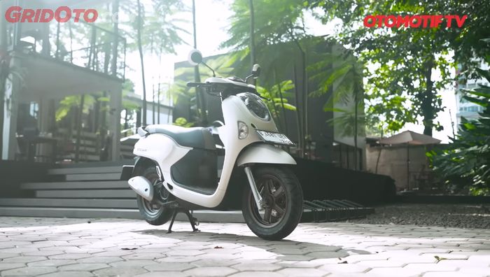 Scoopy Prestige White