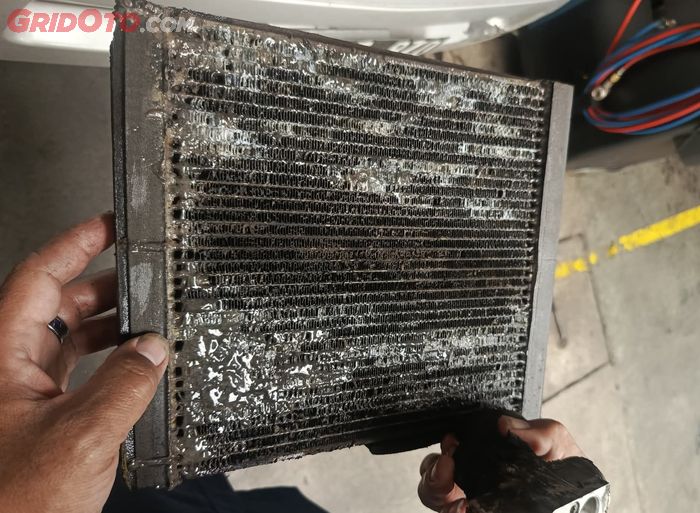 Evaporator AC berlendir dan jamur