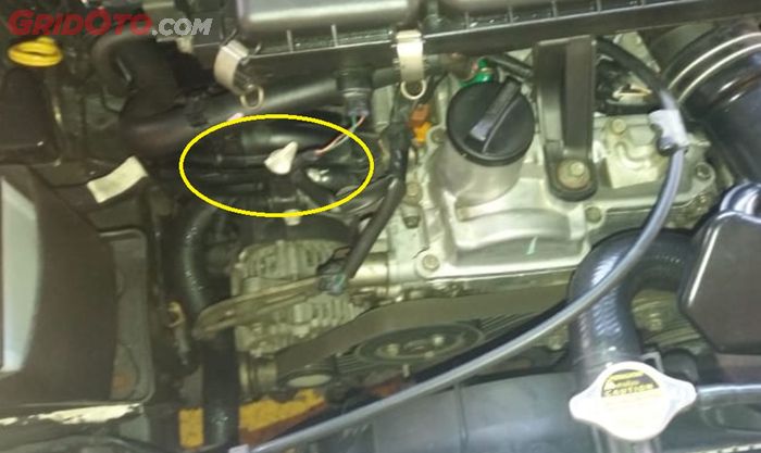 Tutup pembuang udara air radiator