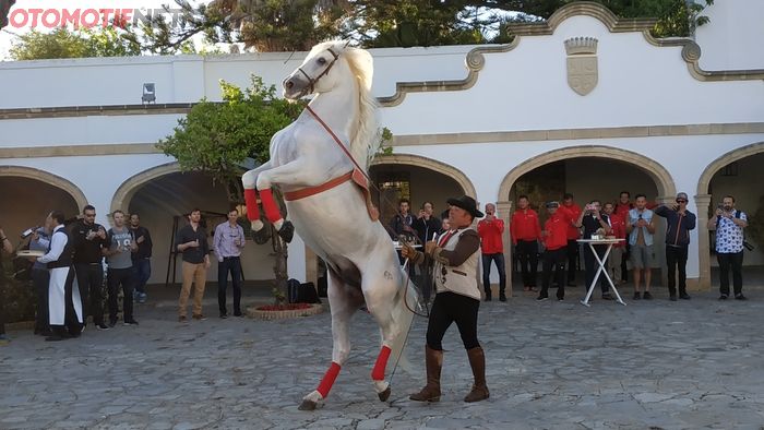 Pertunjukan kuda beneran, bukan kuda besi, salah satu hiburan yang ditampilkan di pabrik Sherry wine Bodegas Osborne di Jerez