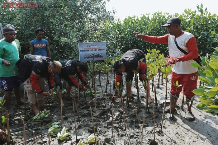 Di Semarang, tim MAXI YAMAHA Tour de Indonesia melakukan CSR penanaman bibit bakau