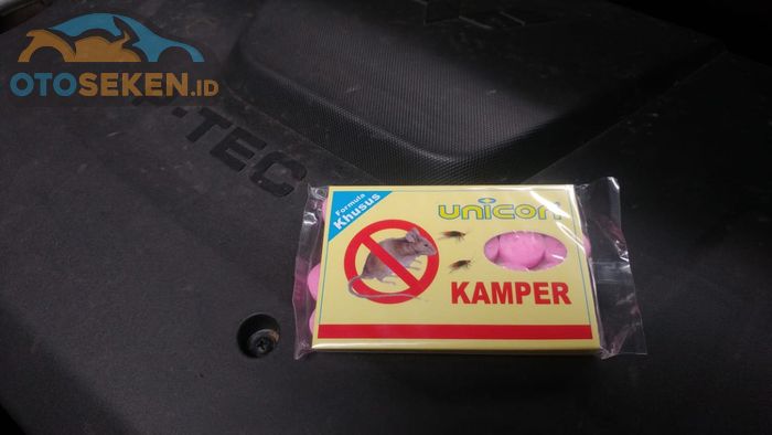 pakai kapur barus atau kamper