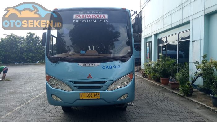 Bus Big Bird ukuran medium