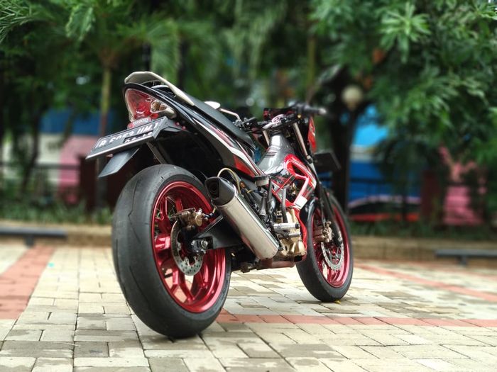 Dilihat dari belakang, kekar banget Sob!