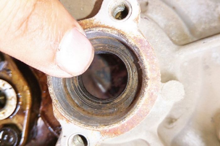 Ilustrasi sil kruk as