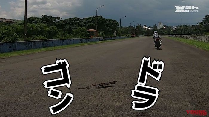 Ada kadal di tengah lintasan Sirkuit Sentul