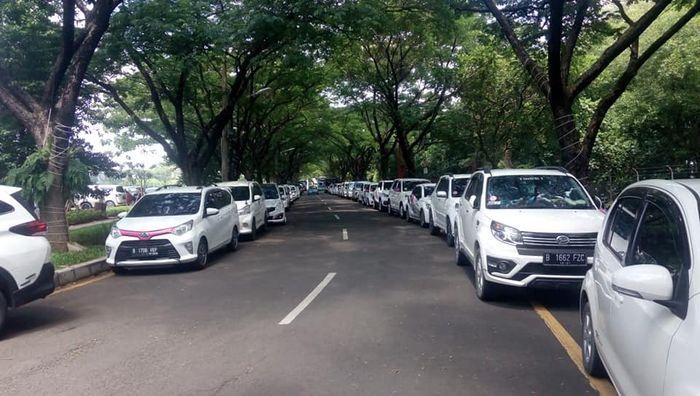 Puluhan mobil putih White Car Community Konvoi