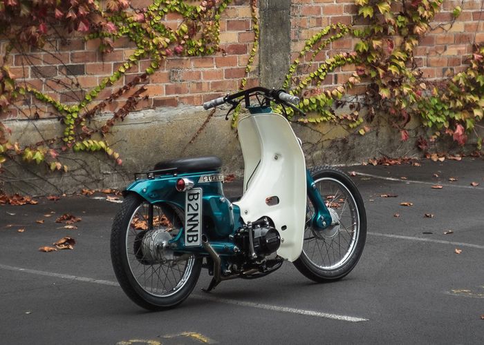 Finishing hijau metalik  serasi sama sayap putihnya