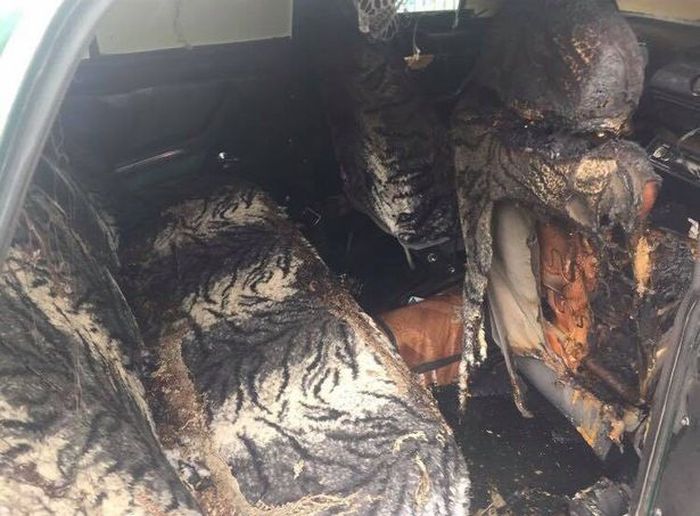 Kondisi kabin pasca kejadian