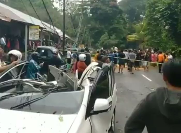 Toyota Avanza porak poranda tertimpa pohon di Bangli, Bali