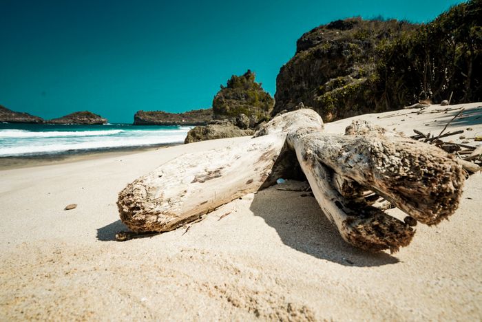 Anak turing wajib mengunjungi pantai Srau