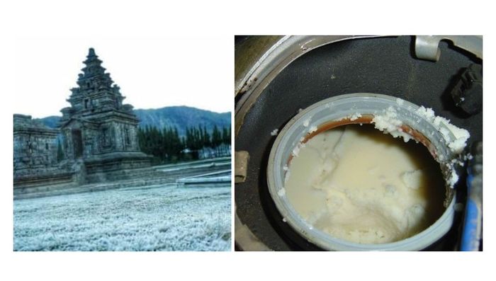 Ilustrasi, Fenomona Bun Upas bekukan bahan bakar mesin diesel