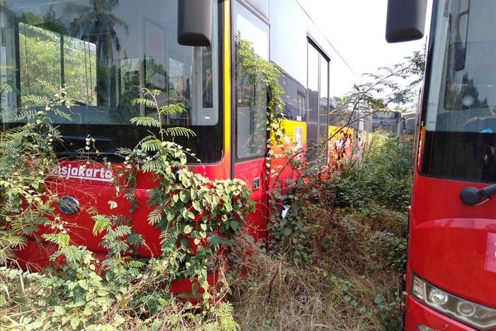Kondisi beberapa Bus Transjakarta dilihat dari dekat