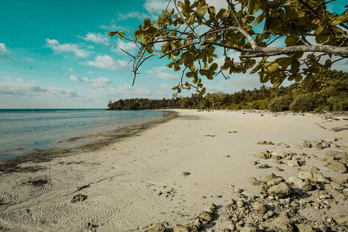 Pasir putih yang memanjang di pantai Bonebula, pantai ini bersebelahan dengan pantai Pusat Laut Donggala