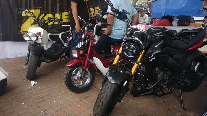 Ada Honda Zoomer, Chaly sama Kawasaki Z175