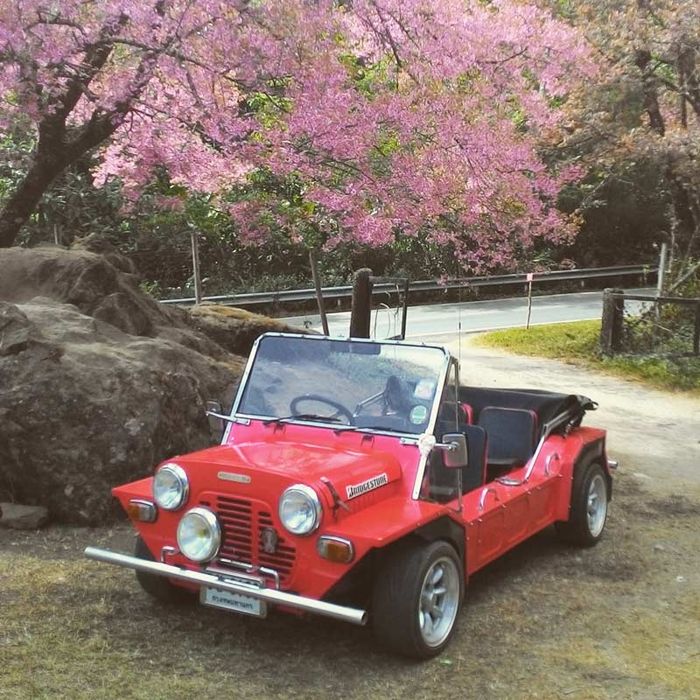 Mini Moke dijual hingga ke Jepang