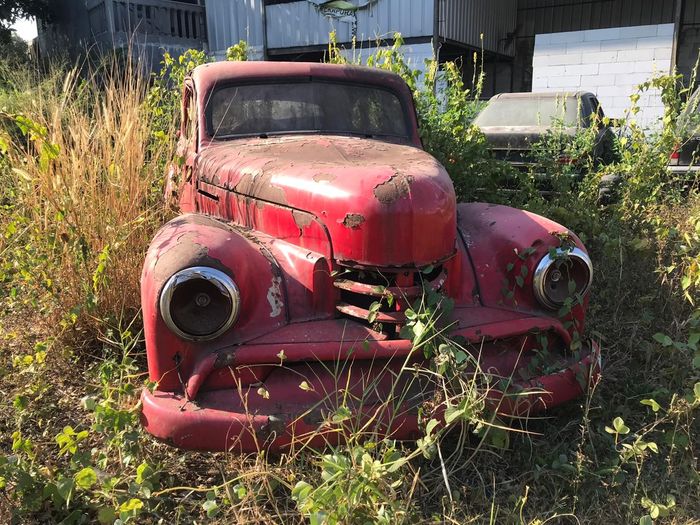 Mobil antik yang hampir tertutup oleh semak-semak 