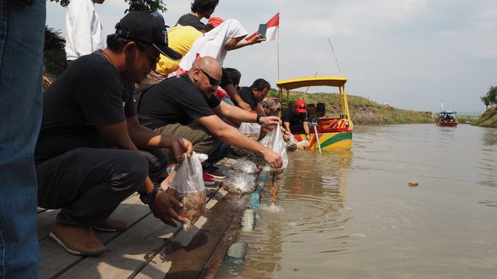 Pelepasan benih Ikan Nila oleh komunitas ALTIC di Danau Rawapening, Semarang, Jawa Tengah