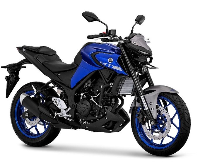 Metalic Blue Yamaha MT-25