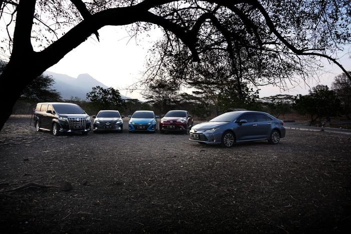 Line uo mobil Hybrid yang dimiliki Toyota 