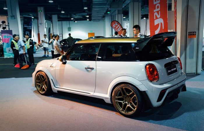 Sayap belakang berukuran besar