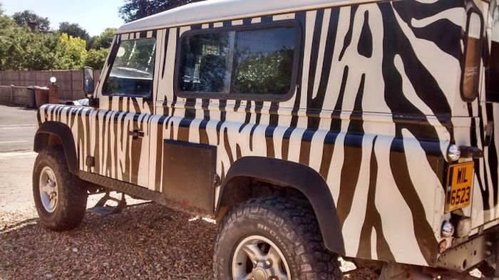 Corak Zebra menyasar hingga ke bagian buritan