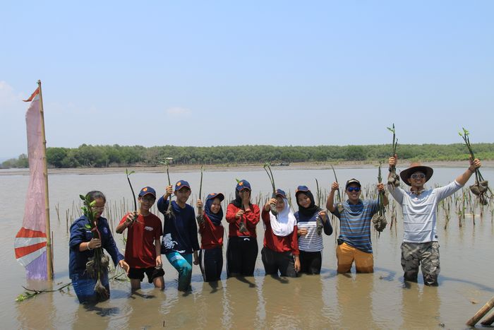 Menanam mangrove bersama Civic Turbonesia dan pecinta alam SMA Negeri 1 Semarang