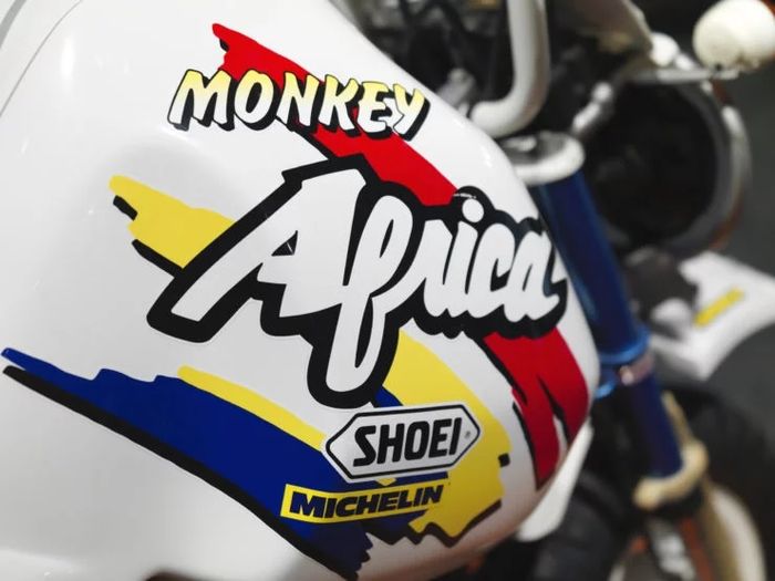 Striping Monkey Africa untuk menunjukkan identitasnya