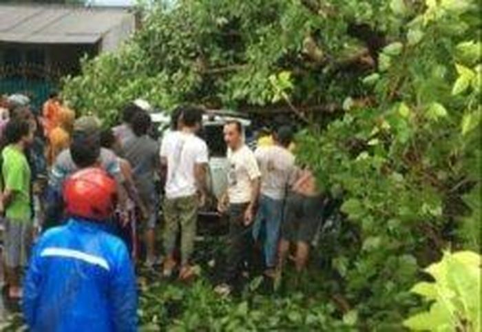 Warga mengevakuasi Suzuki Ertiga yang tertimpa pohon roboh di Balongbendo, Sidoarjo, Jatim