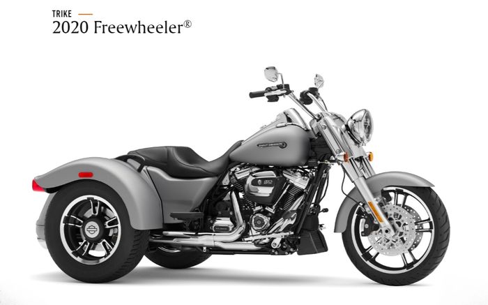 Harley-Davidson Freewheeler 2020 Barracuda Silver Denim