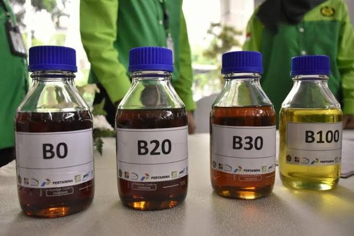 Ilustrasi bahan bakar Biodiesel B30