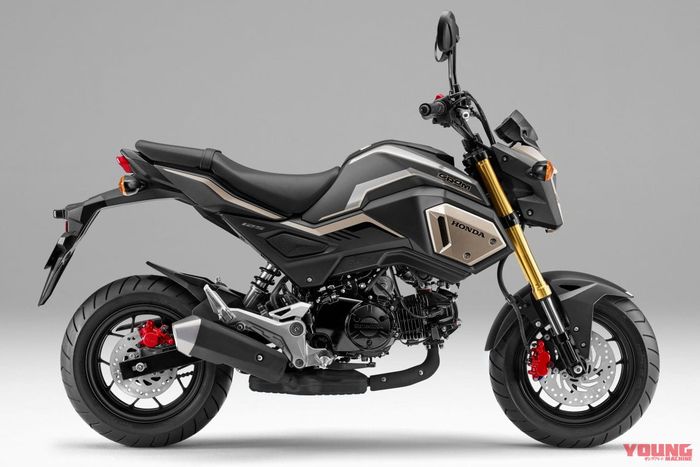 Honda Grom Matt Axis Grey Metallic