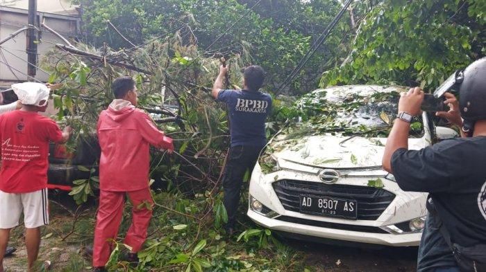 Daihatsu Sigra dan Suzuki Baleno tertimpa pohon tumbang di Jl Bhayangkara, Tipes, Serengan, Solo, Jawa Tengah
