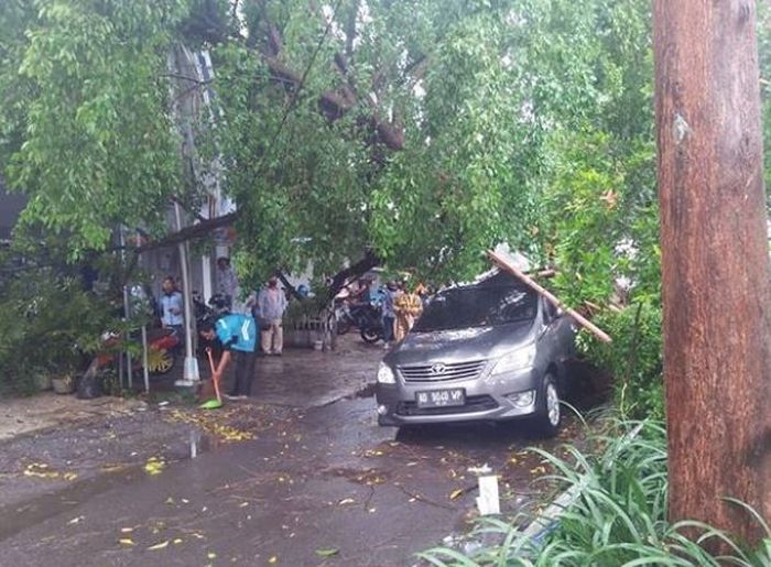 Toyota Kijang Innova tertimpa pohon di kawasan Pasar Kembang Solo, Jawa Tengah