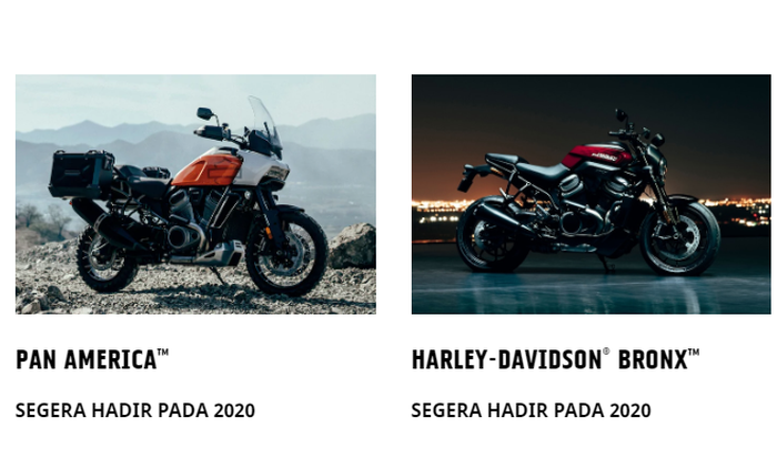 Harley-Davidson Pan America  VS Harley-Davidson Bronx 975