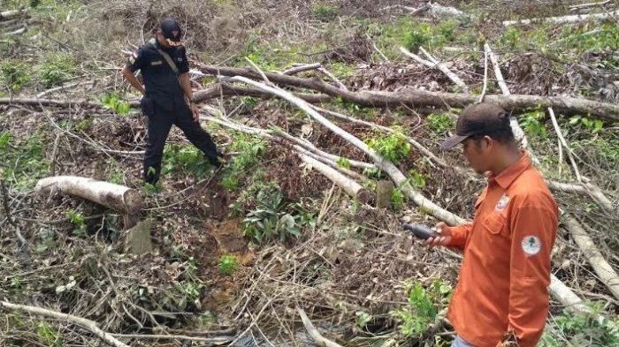 Tim dari BKSDA Sumsel SKW II Lahat turun langsung meninjau lokasi gajah yang menginjak warga di Desa Bumi Makmur, Kecamatan Nibung, Kabupaten Muratara, Rabu (13/5/2020). 