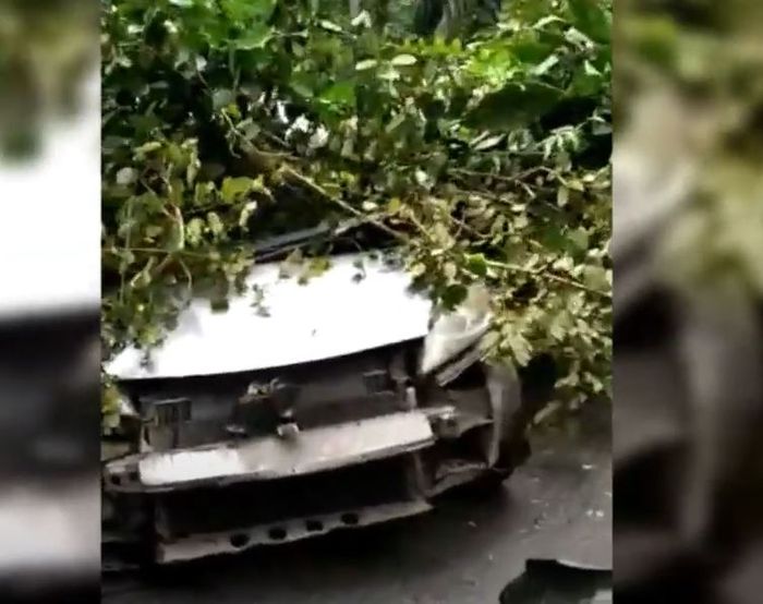 Kondisi Honda Jazz RS milik anggota DPRD kabupaten Pasaman yang tertimpa pohon hingga gepeng