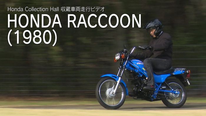 Penampilan Honda Raccoon