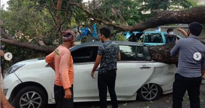 Pohon tumbang timpa Daihatsu Sigra dan Taksi Toyota Transmover di Kebayoran Baru, Jakarta Selatan
