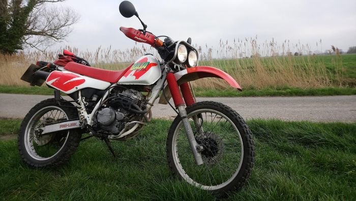 sosok Honda XLR250 Baja