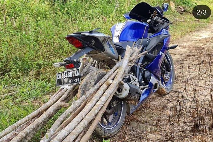 Yamaha R15 dipakai untuk angkut kayu di hutan Kalimantan, bodi belakang sampai lecet-lecet