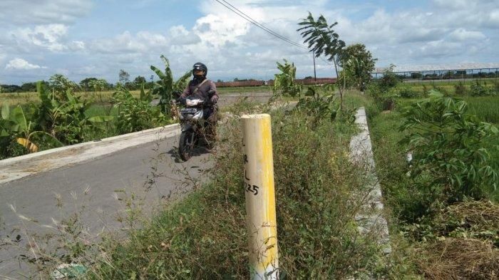 Patok kuning penanda lokasi proyek jalan tol Jogja-Solo di Desa Kahuman, Klaten