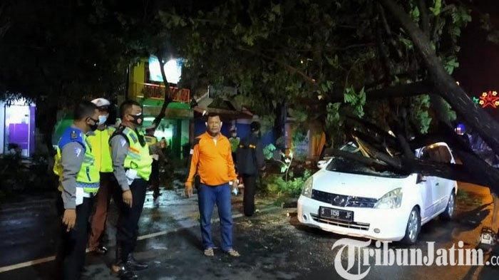 Nissan Grand Livina kaca berlubang digebrak pohon mahoni yang jatuh karena angin kencang